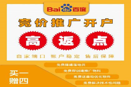 SEM托管服务案例：实现品牌价值最大化